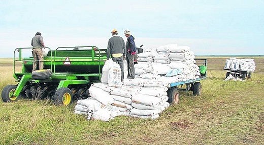 Obligan a informar el volumen de semillas de uso propio